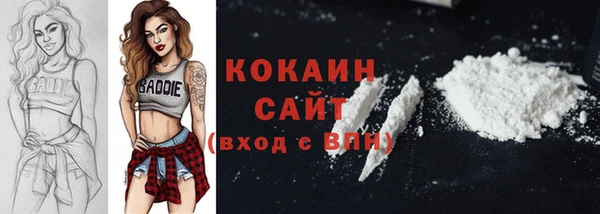PSILOCYBIN Новозыбков