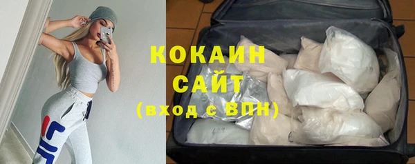 PSILOCYBIN Новозыбков