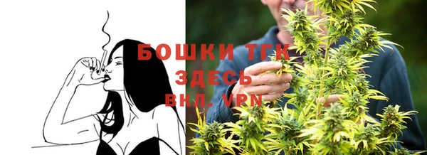 PSILOCYBIN Новозыбков