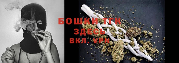 МДПВ Нея