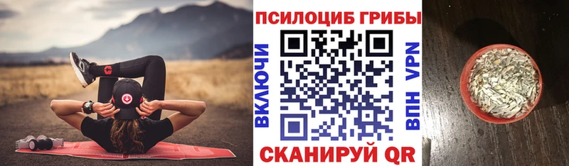 купить наркотик Мамоново Псилоцибиновые грибы Psilocybe